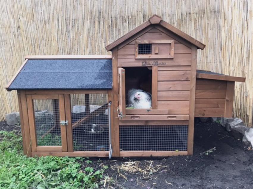 Poulailler en bois anthracite GALINETTE, 3 poules, cage à poule 