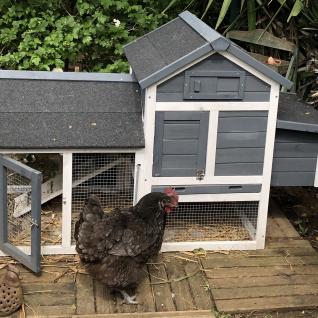 Poulailler En Bois Anthracite Galinette 3 Poules Cage à Poule Avec